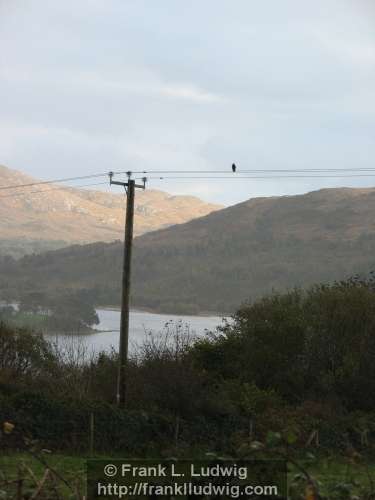 Green Road, Sligo